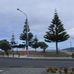 View from the cafe